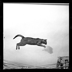 Francis Goessler & Stan Starry @ Kater Holzig! GRR mit BRR!