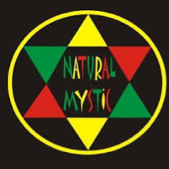 Neon Jade - Natural Mystic (Bob Marley Tribute)