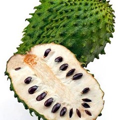 Guanabana