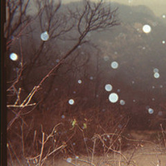 Little Broken Star