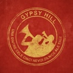 Gypsy Hill - Balkan Beast [Remix FabiMax <3
