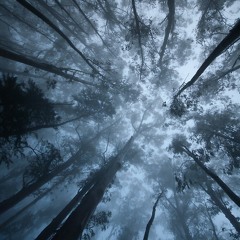 nature sounds