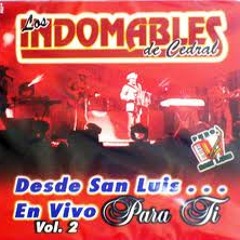 La Cascarita - Los Indomables de Cedral