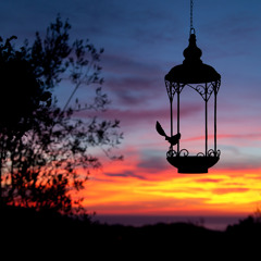 Acoustic Music | Dawning