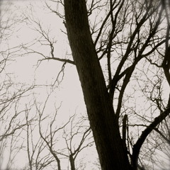 Cold Day DADGAD Drone