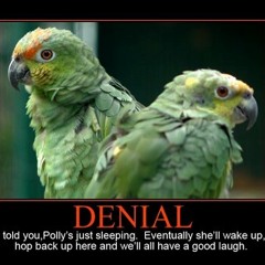 Dead Parrot