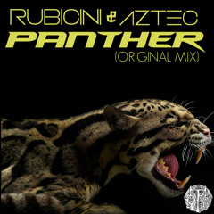 Rubicini & Aztec - Panther (Original Mix)***FREE DOWNLOAD***