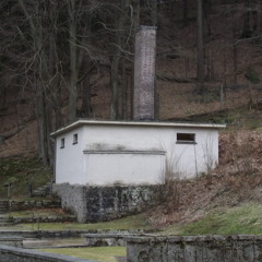 Here There Is No Why...