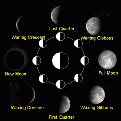Progreshiva - Moon Phases - 154bpm