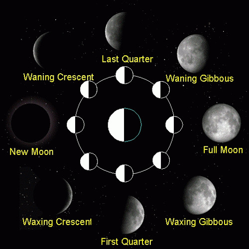 Progreshiva - Moon Phases - 154bpm