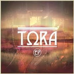 Future Man ~ Tora (WHICH.) Remix
