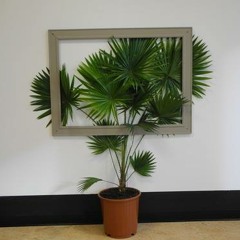 Stream punk*art music | Listen to songs, albums, playlists for