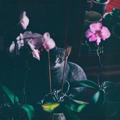 Johnny Rain - III (OZZIE x Hucci Remix)