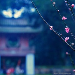 Liên Khúc Xuân- Acoustic ( Thủy, Linh, Hoàng, Trung, Bình, Nguyên)