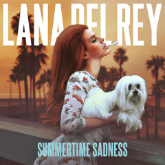 Lana Del Rey - Summertime Sadness (Official Instrumental)