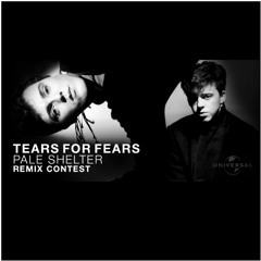 Tears For Fears - Pale Shelter [Rob Beta's Beatport Contest mix]