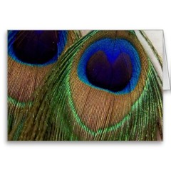 WA0007kazhinjupoya kaalam kadalin akkare by Jiji