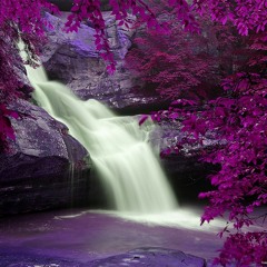 Chris Travis x BONES - Frozen FijiFalls