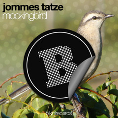 Jommes Tatze - Mockingbird (Original Mix)