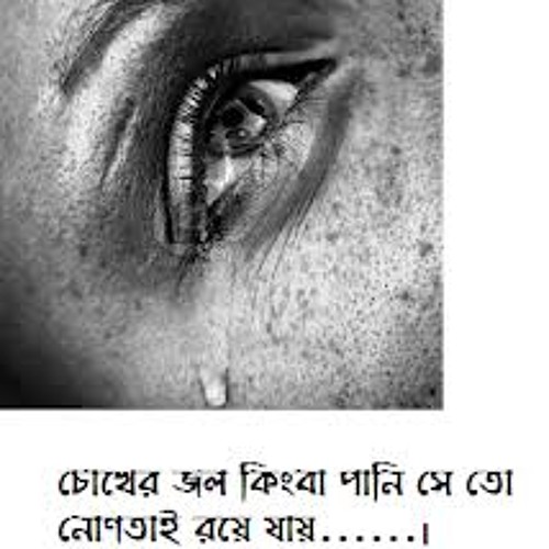 দেখেছি তোমায় || অঞ্জন দত্ত