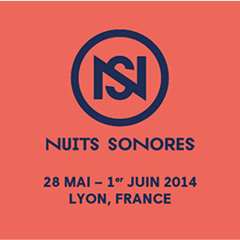 Nuits Sonores 2014 - Day 1