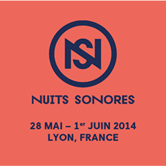 Nuits Sonores 2014 - Day 3