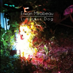 Bright hopes (Feat. delphine Barat). From the album "Luminous Dog"