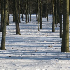 Silverpieces - Father