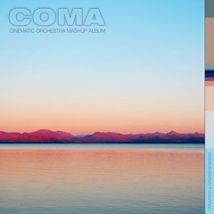 COMA: The Cinematic Orchestra Mashup Album - Comatose Mix