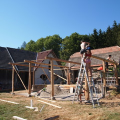 Pleasha in da Treasha!