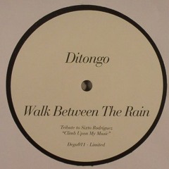Ditongo - Walk Between The Rain