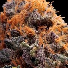 #SMOKEKUSH//SKODISS//leak