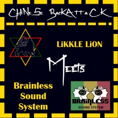 LiKKLE LiON meets Brainless Sound - Chinese Backattack (REMIX)