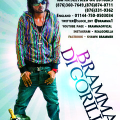 Bramma - Guide & Protect Me - 2014 february