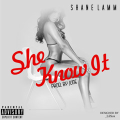 She Know It [Prod. JuneOnnaBeat]