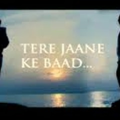Tere Jaane Ke Baad OST Hum Tv