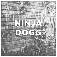 NINJA DOGG- DJ MAZIC