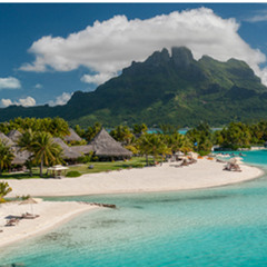 Joey Kraft -"Fun in the Sun" Option 21