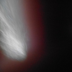 stella pluo/Mammoth on the Highlands