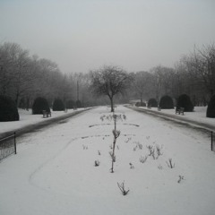 THE HOMELESS WANDERER