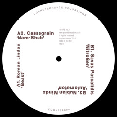 COUNTER004 B1. Savas Pascalidis - NitroGen (preview)