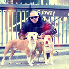 Camorata -  Boen Club