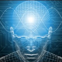 Nick Samovar - Stade