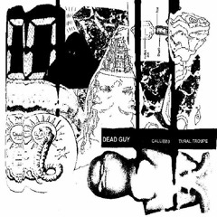 We Need An Evolution