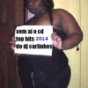 CD ELETRO FUNK 2014 VOL 02 by dj carlinhos mix