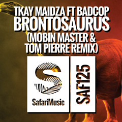 Tkay Maidza - Brontosaurus (ft. Badcop) (Mobin Master & Tom Pierre Remix)