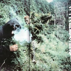 Devin The Dude - Check Out The Bitches (DJ Screw)