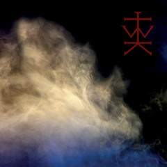 THE WOUNDED KINGS - "The Silence"