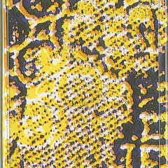 Sun Poisoning - Outdoors 1.1 (from Janus c32, T/E)