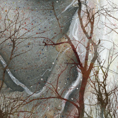 E! (instrumental demo) - Silicate